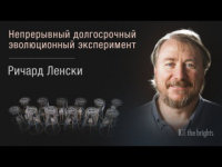 Долгосрочный эволюционный эксперимент Ричарда Ленски
