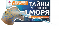 Билборд Воронежский океанариум
