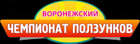 Воронежский чемпионат ползунков
