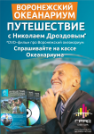 Работа 2924285