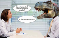 Extreme interviewing