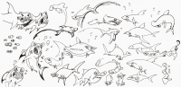 Shark Mark