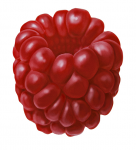 Raspberry