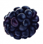 Blackberry