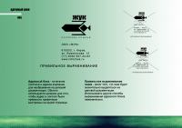 Учебная работа (жуки) брендбук