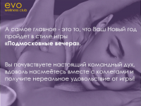 Evo club - новогодний корпоратив