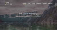 Web Vikings