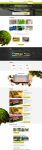 Landing Page для компании ДИГ (оборудование для парков)