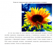 Белок из семян подсолнуха