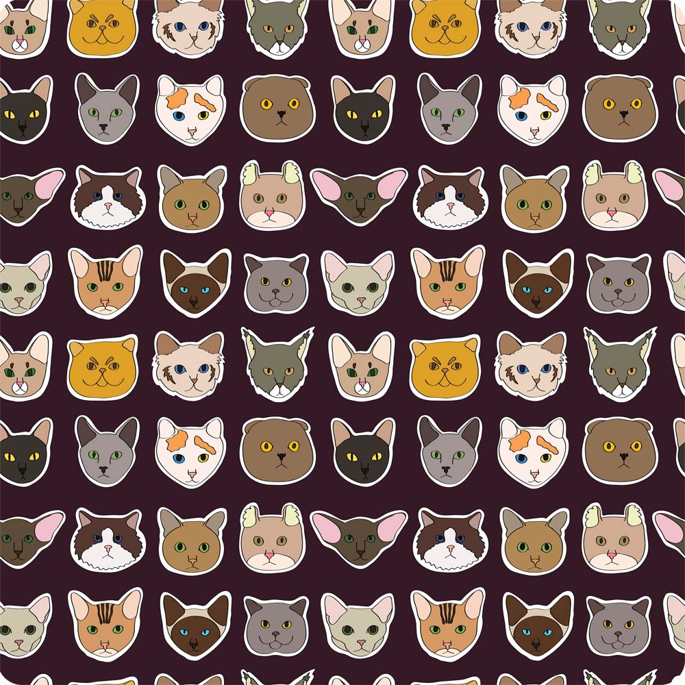 pic2978448.jpg