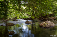Fiume