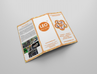 Буклет LEO