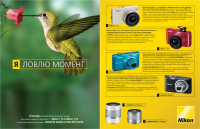 модуль в каталог "Юлмарт"