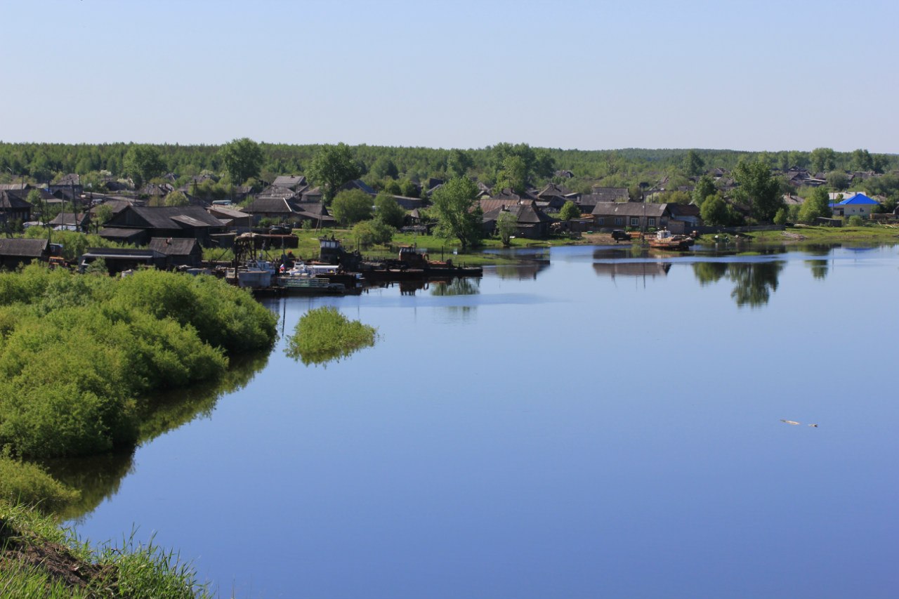 pic3091484.jpg