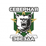 Хоккейная команда "Северная звезда"