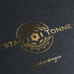 Проектирование логотипа для известного музыканта "Estas Tonne"