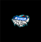 логотип магазина BUMM-SHOP в Новосибирске http://vk.com/bummshop