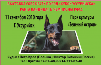 Рекламный плакат