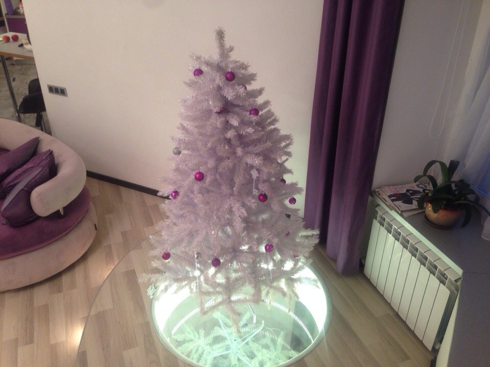 pic1981105.jpg