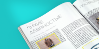 Работа 3079066