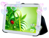 Хроники Samsung Galaxy Note 8 0. Разоблачение девайса