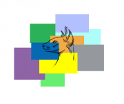 cube and cat