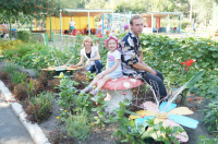 Работа 1674257