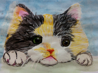 Кошка