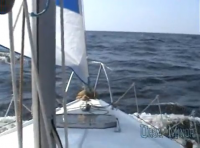 Один день - один шаг