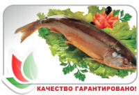 баннер на сайт