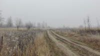 В поле в пять утра