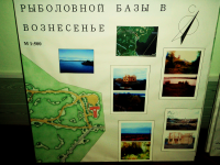 Работа 2316546