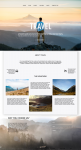 Website design