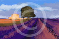 Иллюстрация: "Лавандовое поле"