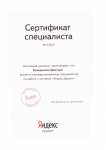 Профессиональная настройка рекламы в Яндекс Директ