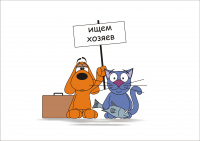 Работа 2986418