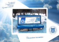 Работа 2986412