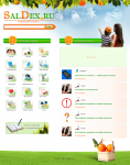SalDex.ru