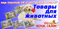 Рекламный баннер