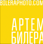 Работа 2487713