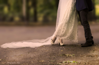 Работа 2472838