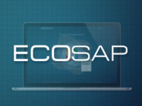 Ecosap: Международная бизнес аналитика