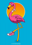 flamingo