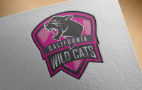 Спортивный клуб