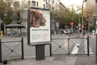 Приют для животных