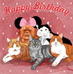 Котики