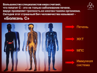 Работа 2356488