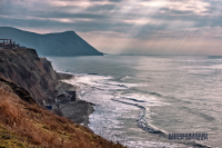 Работа 3065149