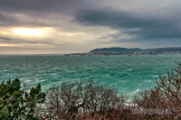 Работа 3065153