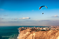 Работа 3065145